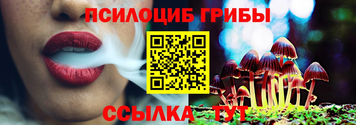 Галлюциногенные грибы прущие грибы Сухой Лог