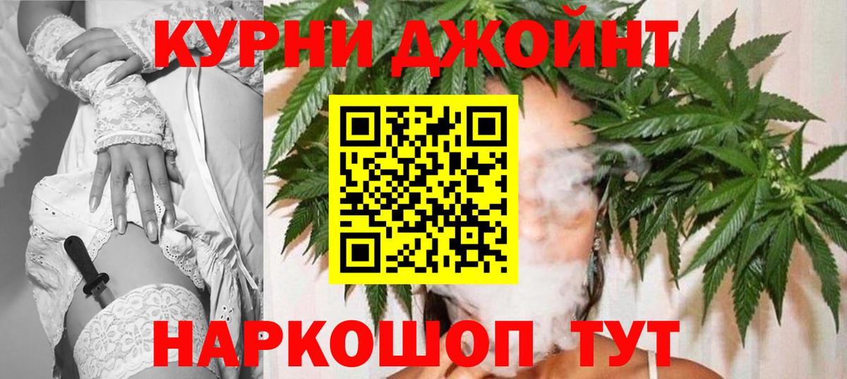 Конопля сатива Сухой Лог
